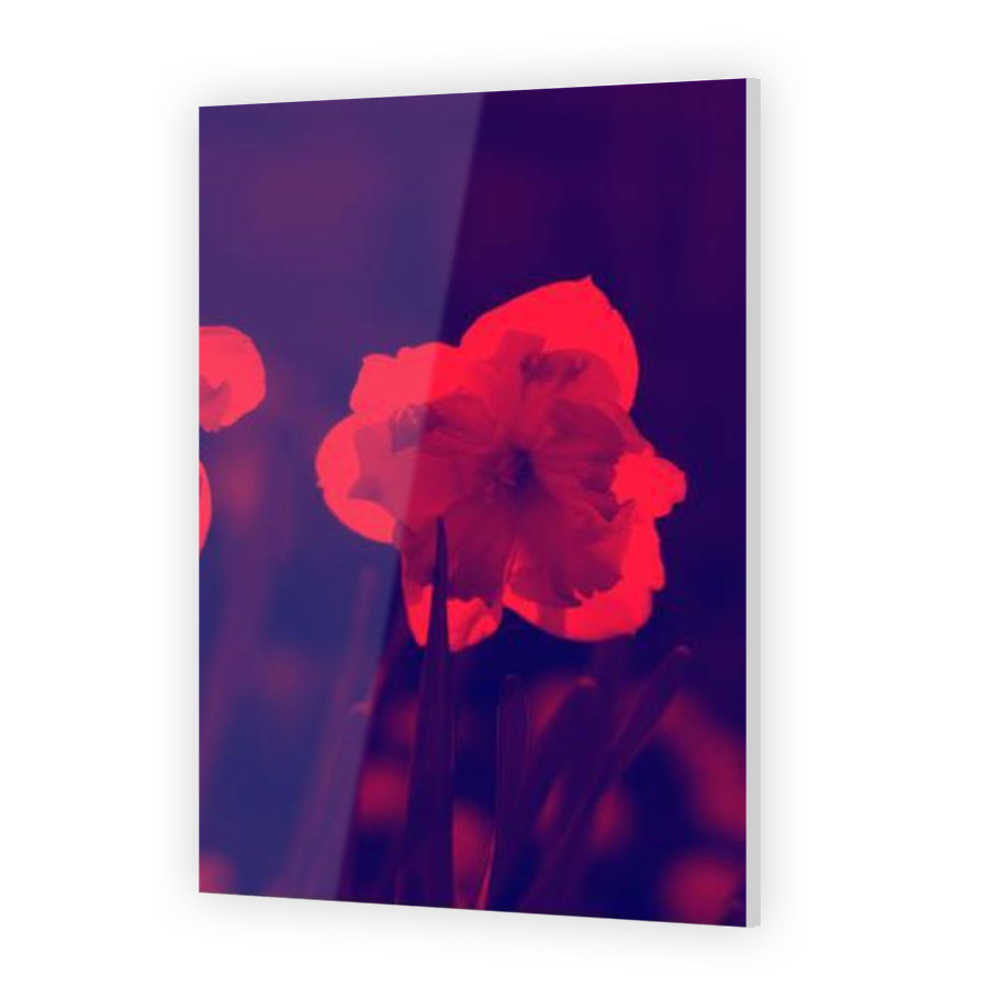 Thumbnail for Acrylic