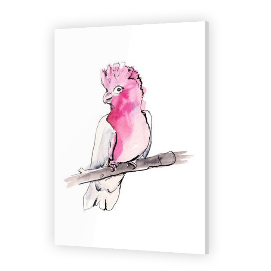 Thumbnail for Acrylic