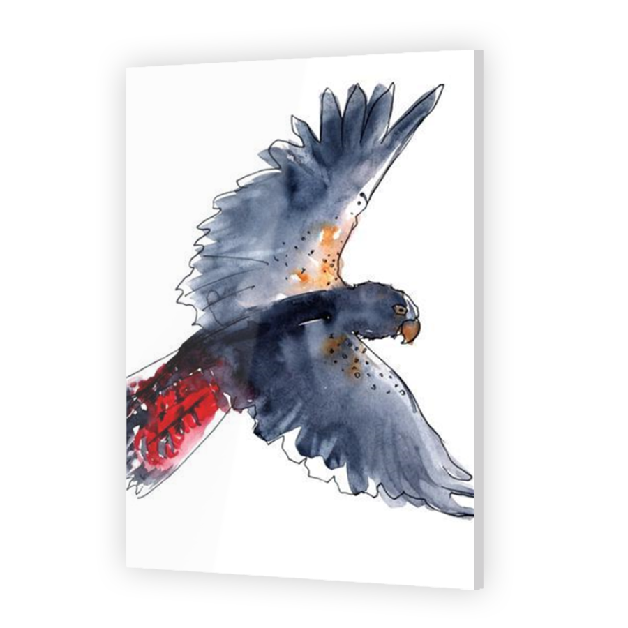 Thumbnail for Acrylic