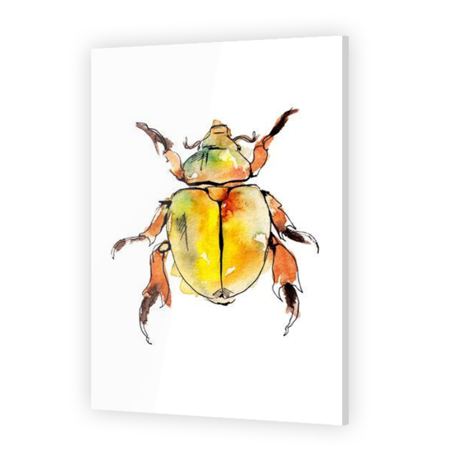 Thumbnail for Acrylic