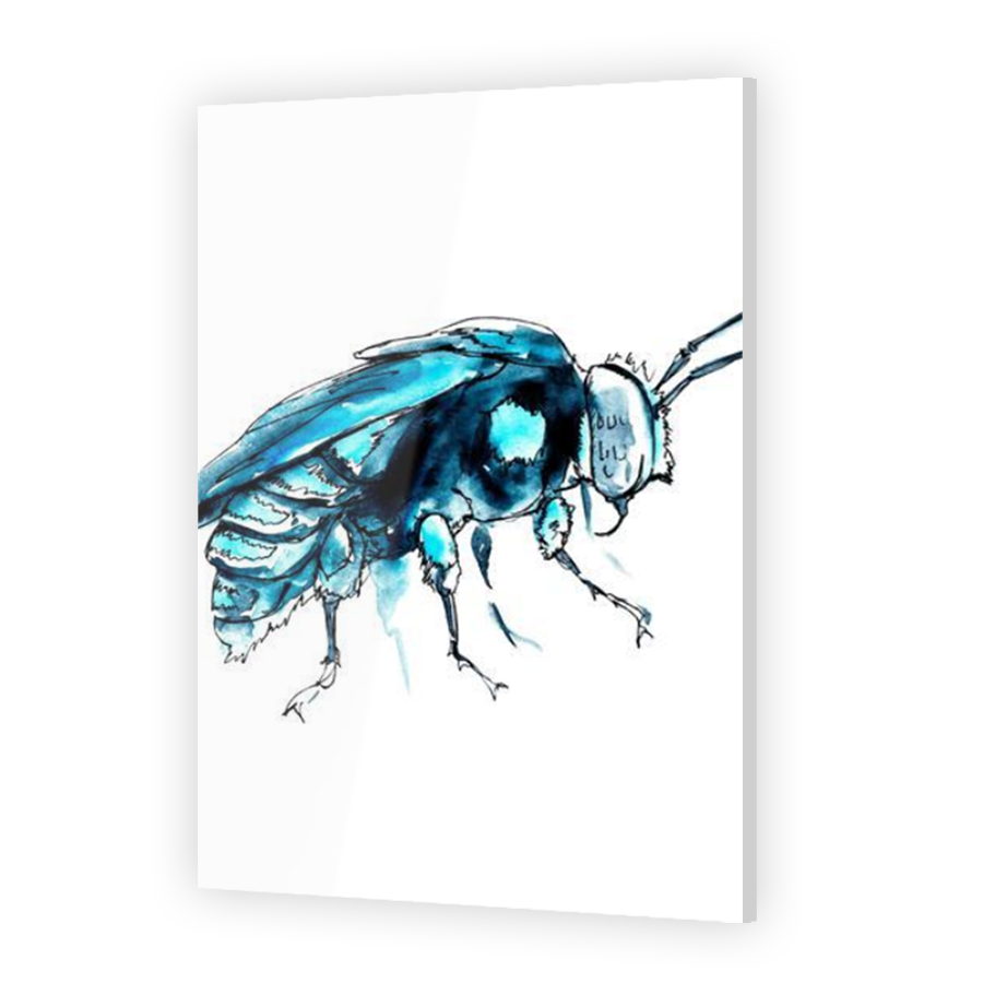 Thumbnail for Acrylic