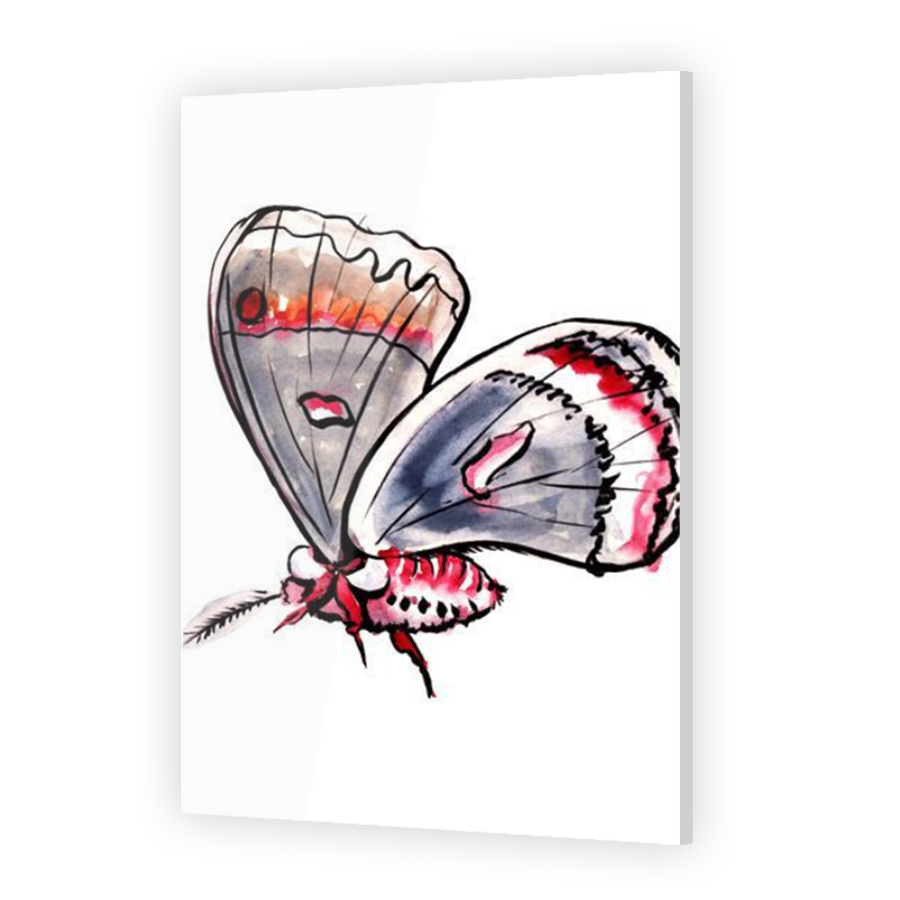 Thumbnail for Acrylic