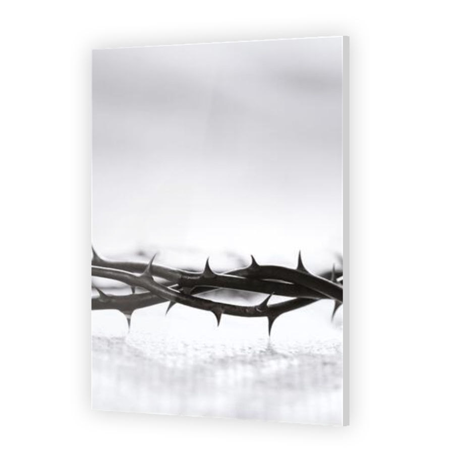 Thumbnail for Acrylic