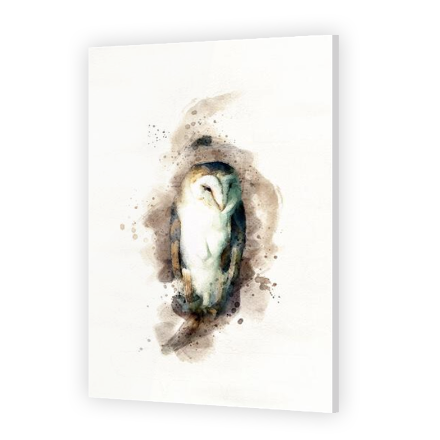 Thumbnail for Acrylic