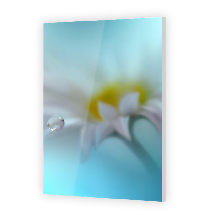 Thumbnail for Acrylic