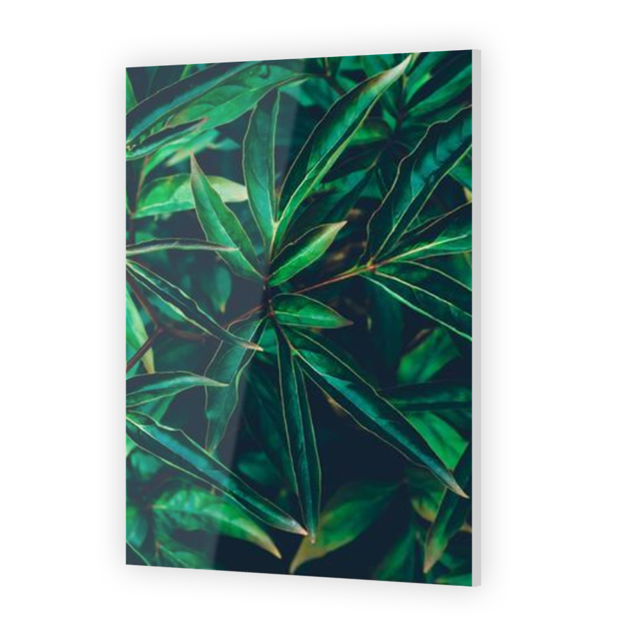 Thumbnail for Acrylic