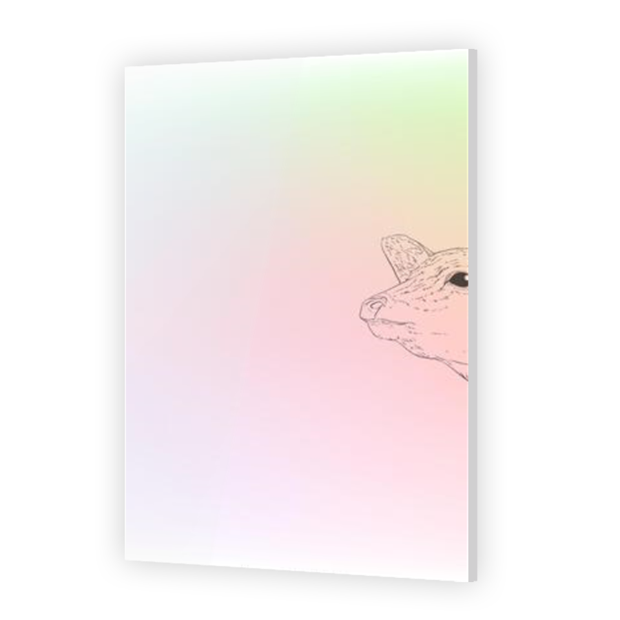 Thumbnail for Acrylic