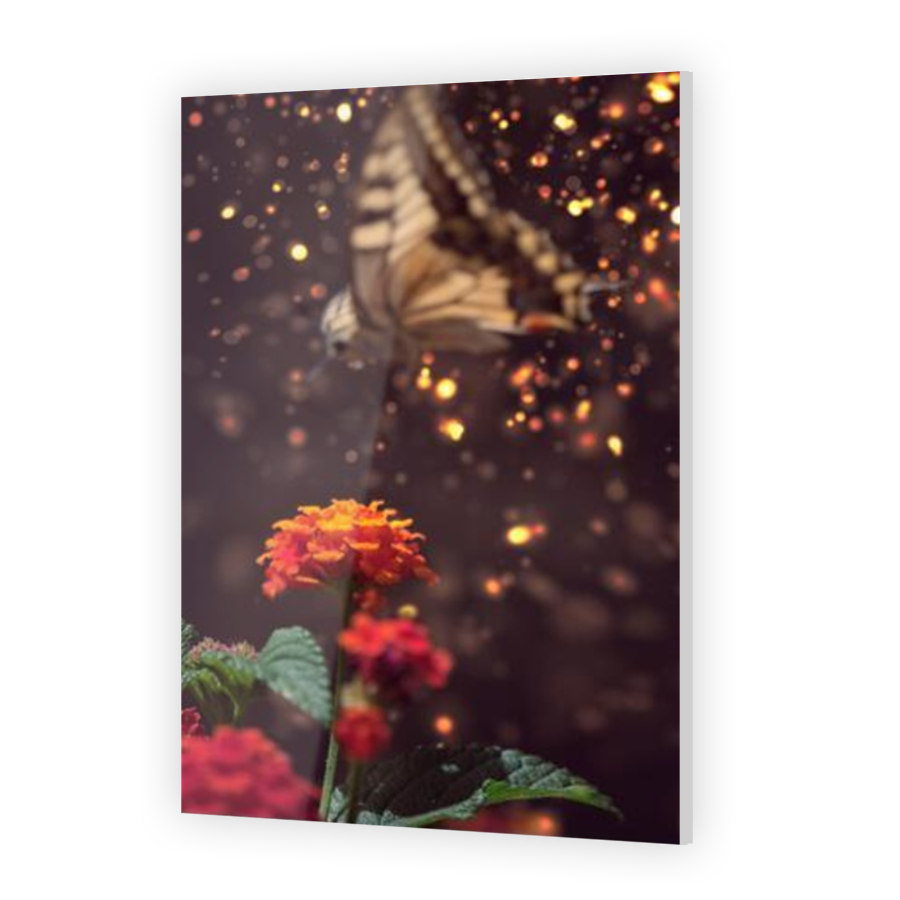 Thumbnail for Acrylic