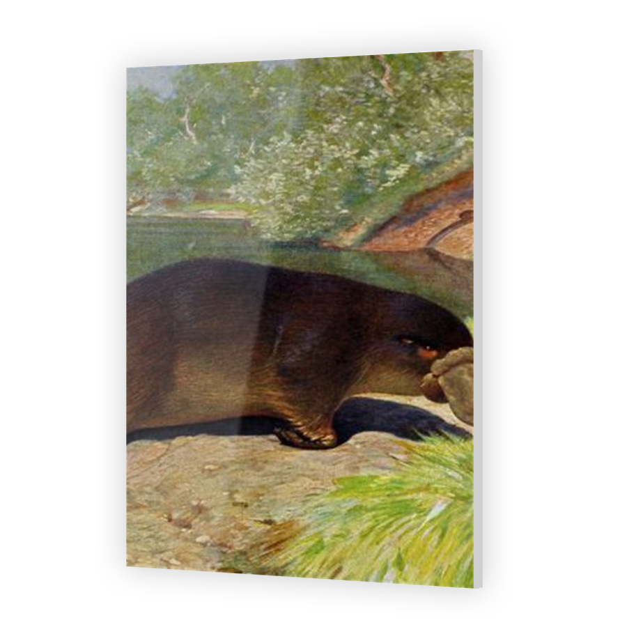 Thumbnail for Acrylic