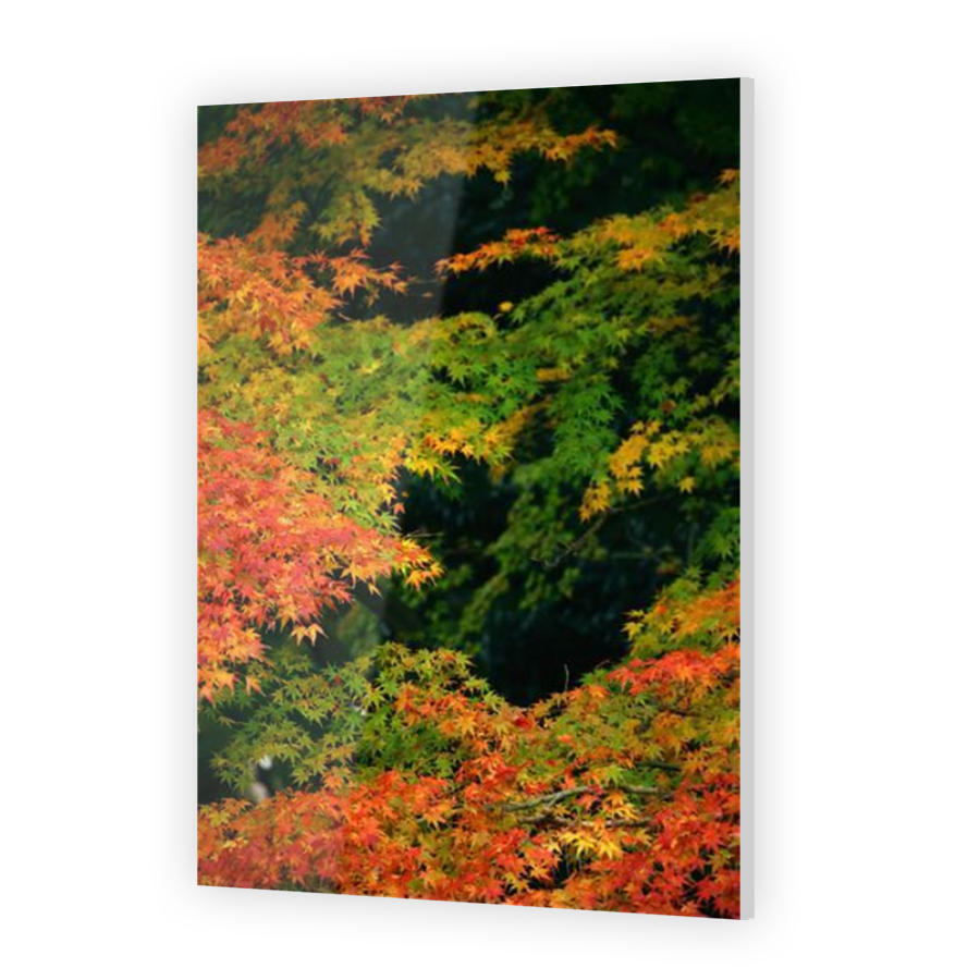 Thumbnail for Acrylic