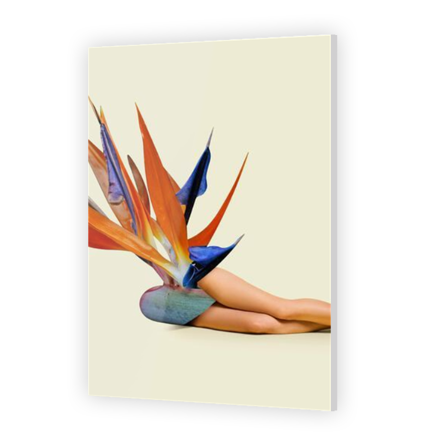 Thumbnail for Acrylic