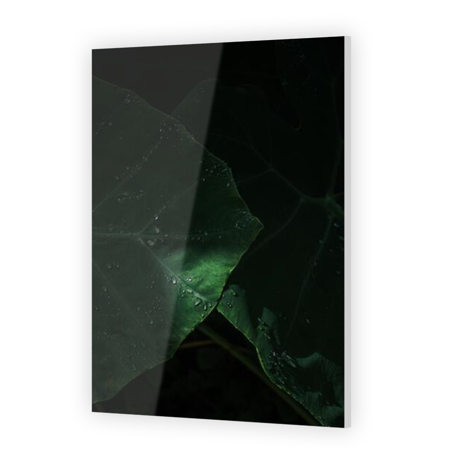 Thumbnail for Acrylic