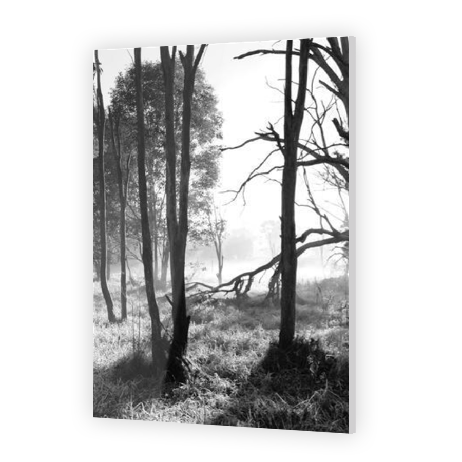 Thumbnail for Acrylic
