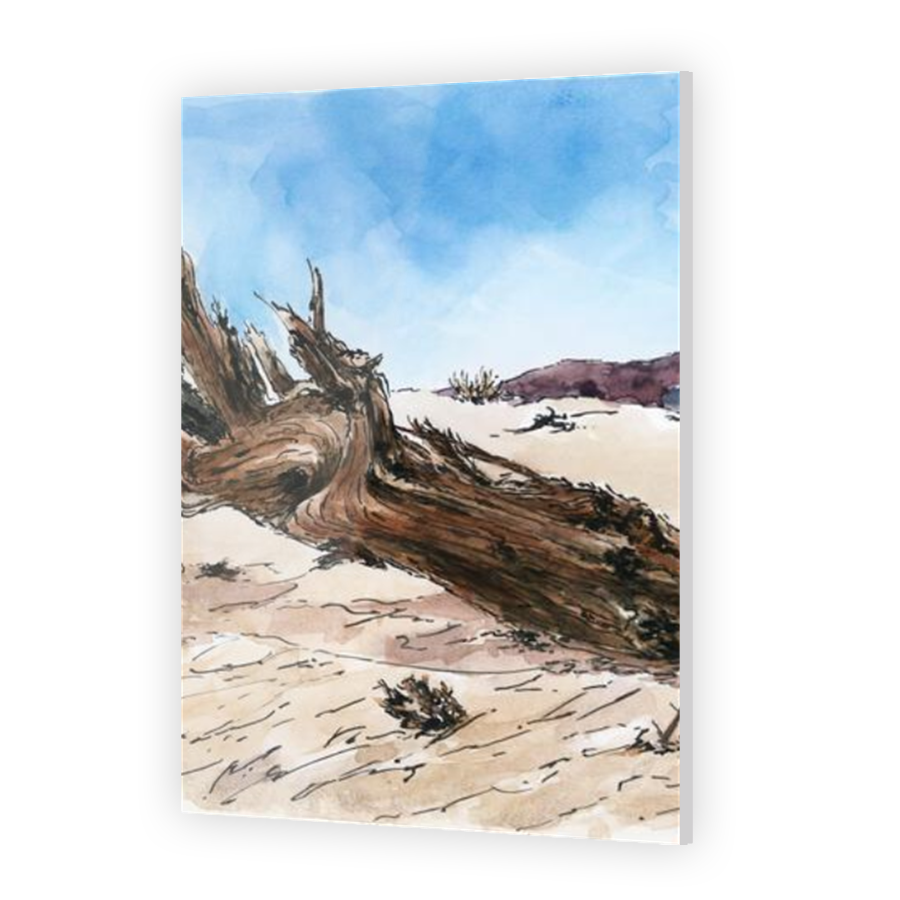 Thumbnail for Acrylic