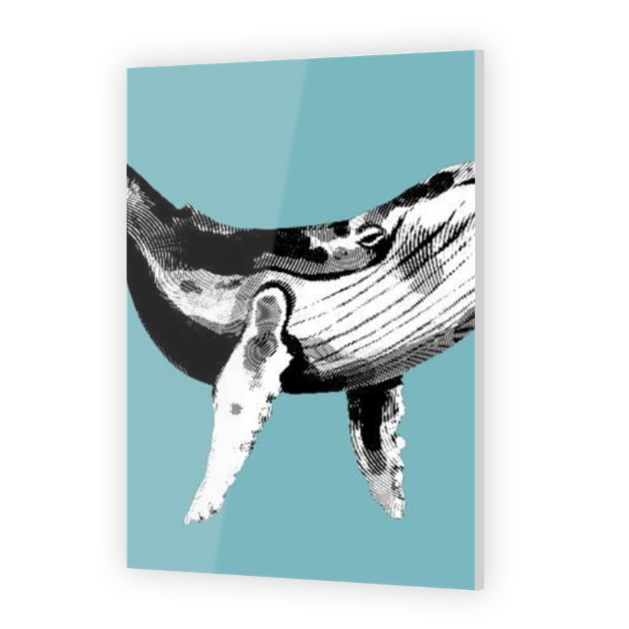 Thumbnail for Acrylic