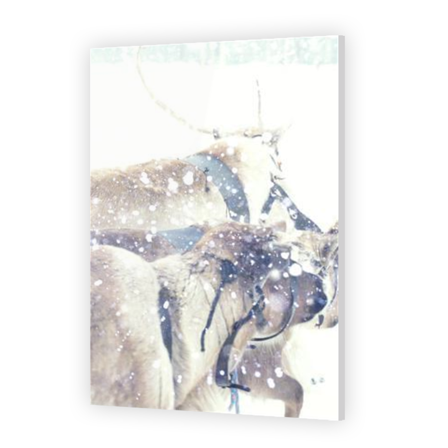 Thumbnail for Acrylic