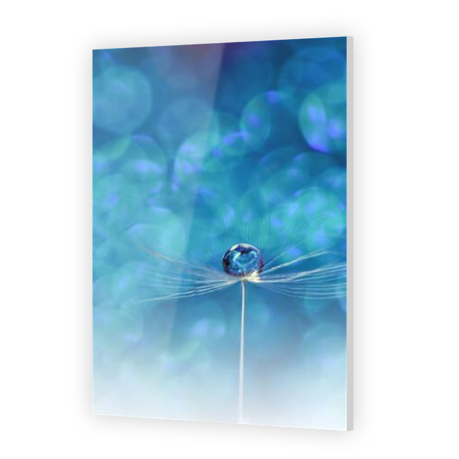Thumbnail for Acrylic