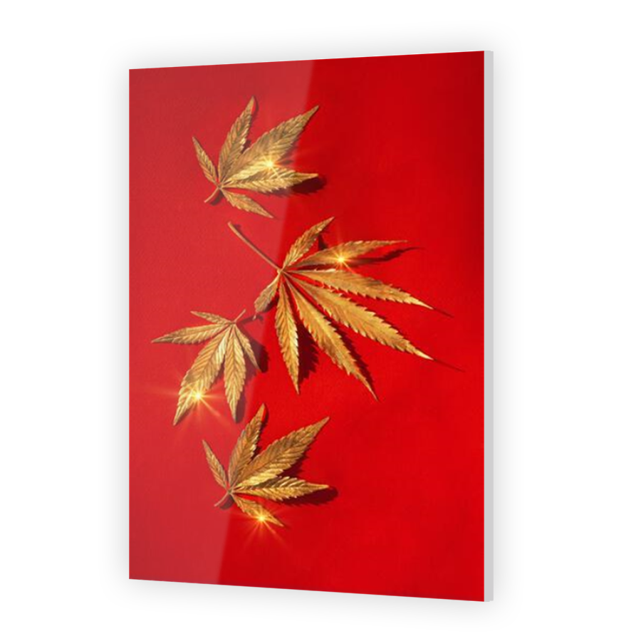 Thumbnail for Acrylic