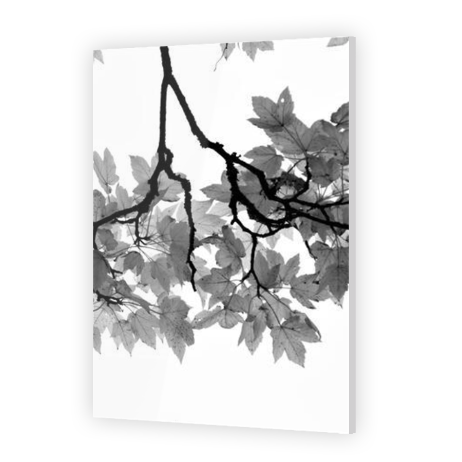 Thumbnail for Acrylic
