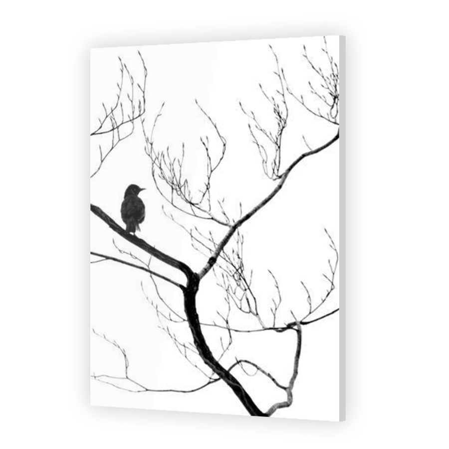 Thumbnail for Acrylic