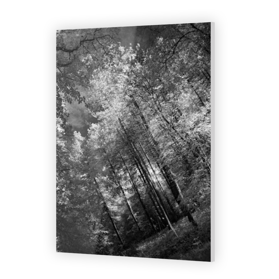Thumbnail for Acrylic
