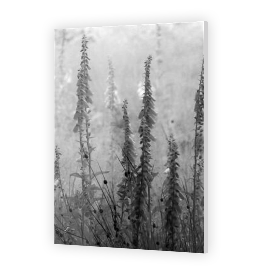 Thumbnail for Acrylic