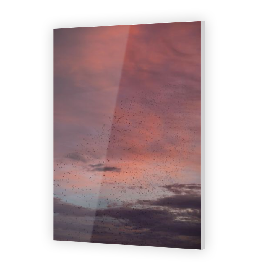 Thumbnail for Acrylic