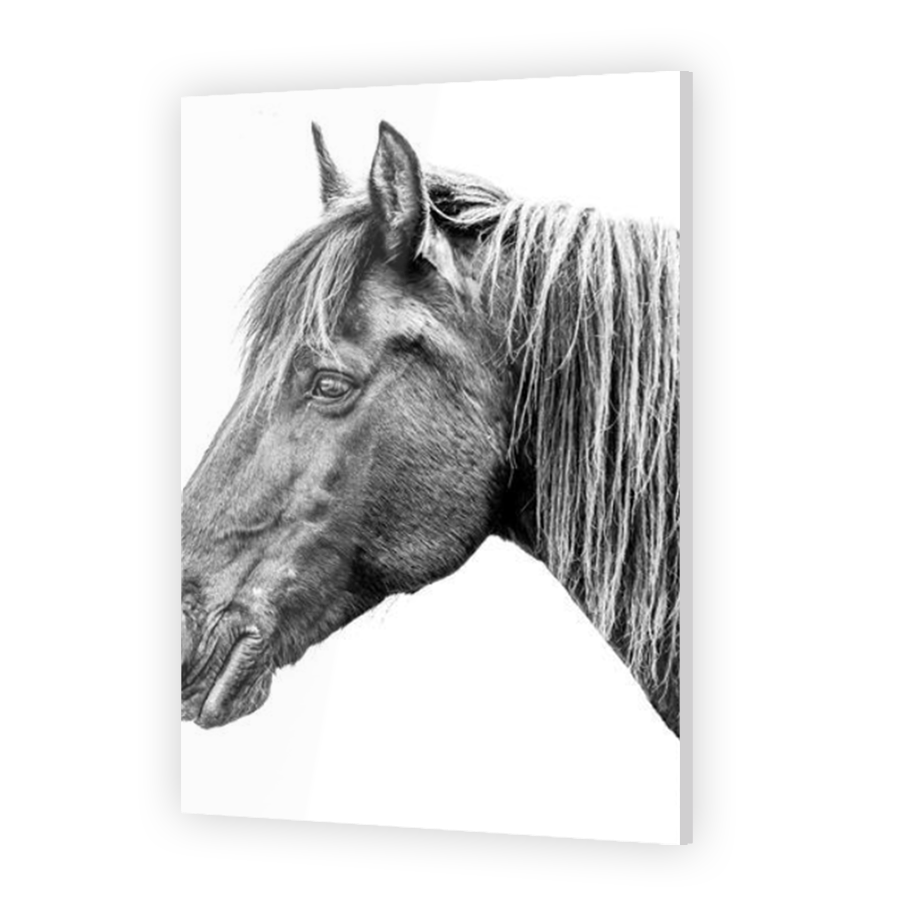 Thumbnail for Acrylic
