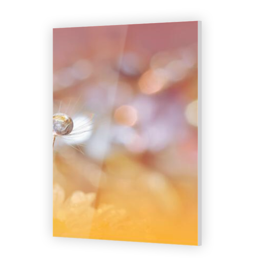 Thumbnail for Acrylic