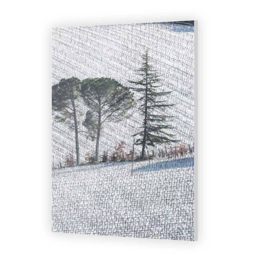 Thumbnail for Acrylic
