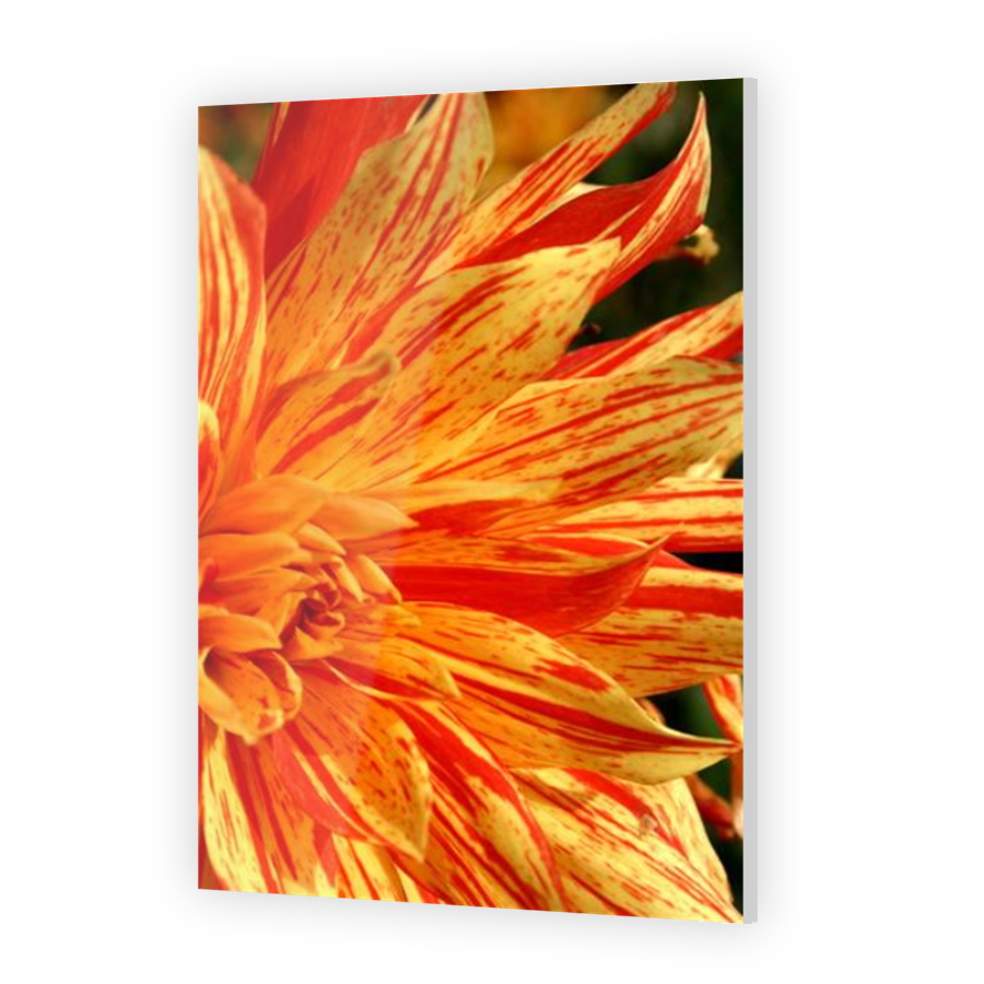 Thumbnail for Acrylic