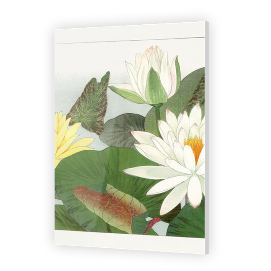 Thumbnail for Acrylic
