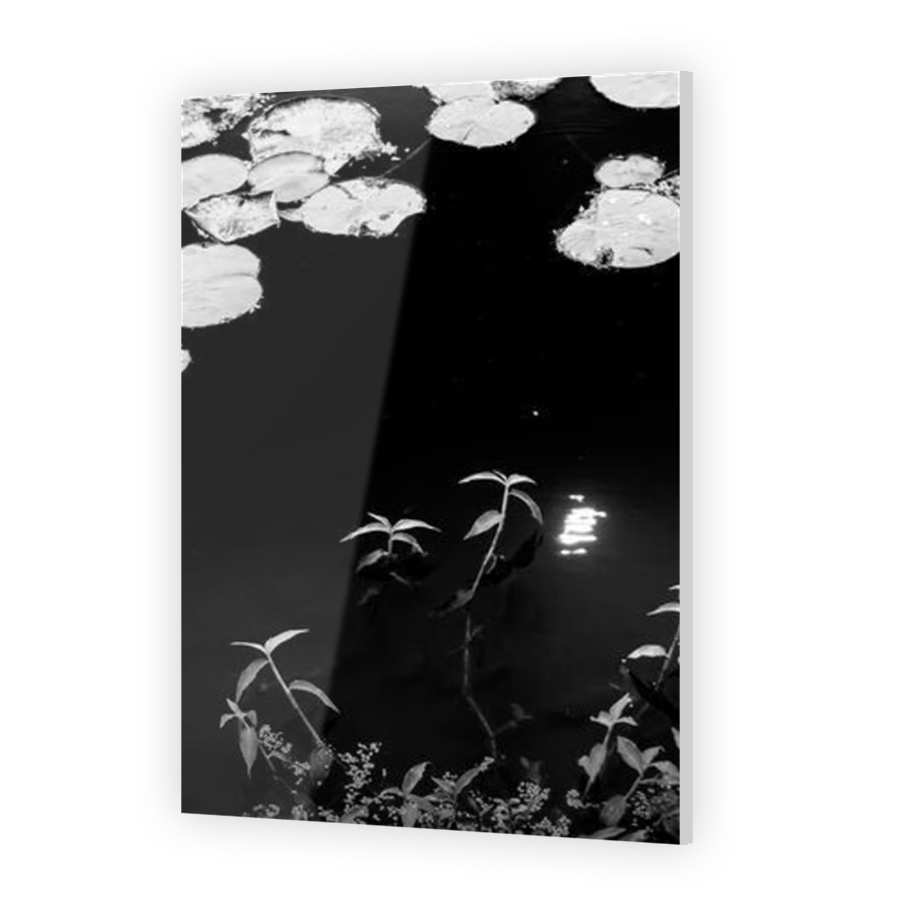 Thumbnail for Acrylic