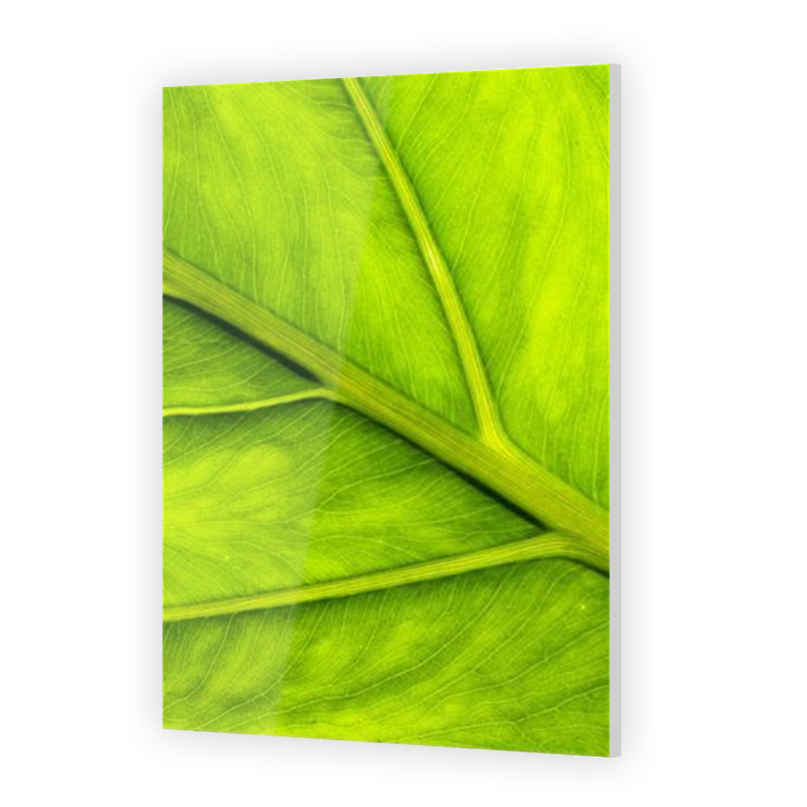Thumbnail for Acrylic