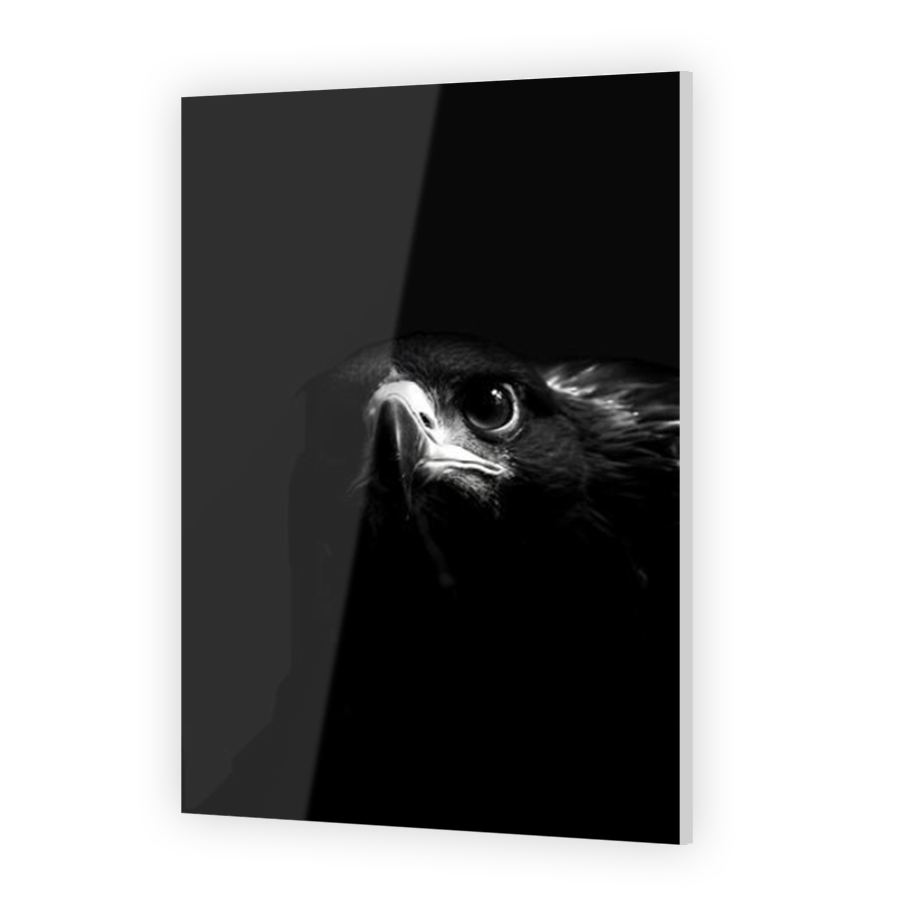 Thumbnail for Acrylic
