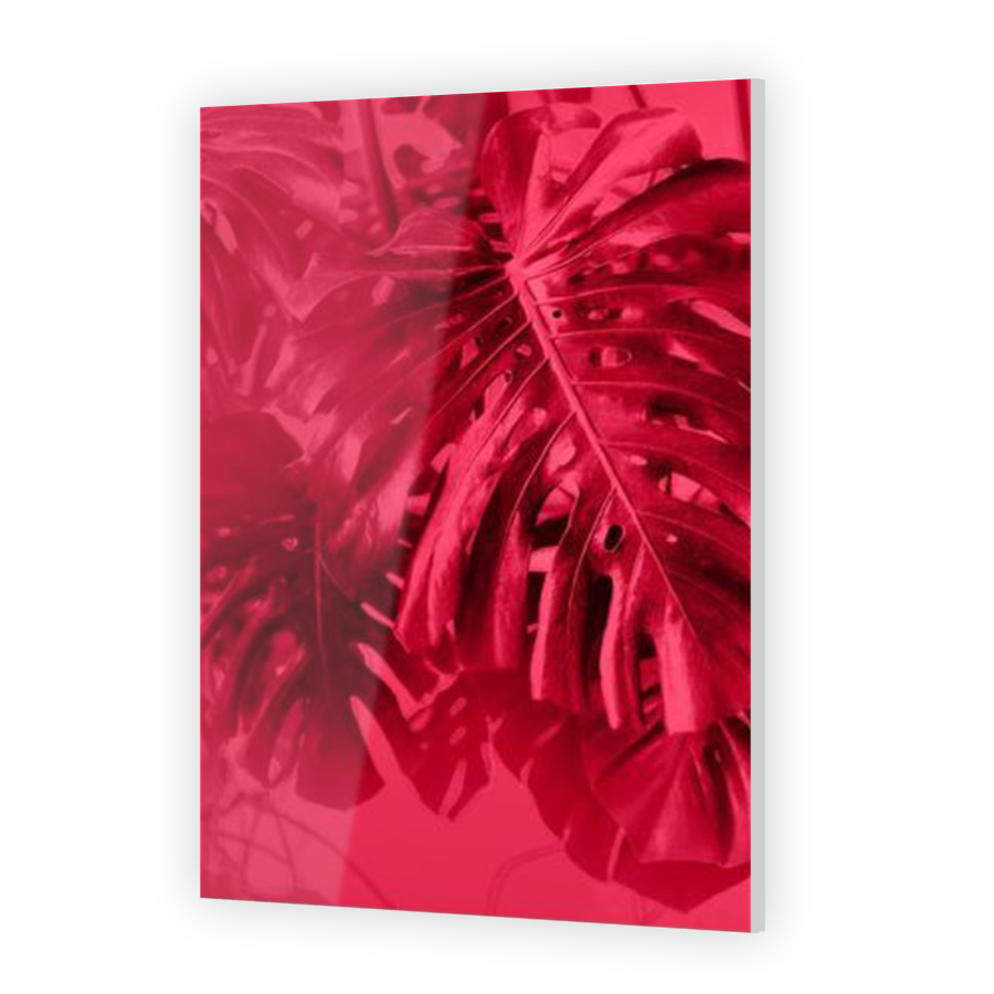 Thumbnail for Acrylic
