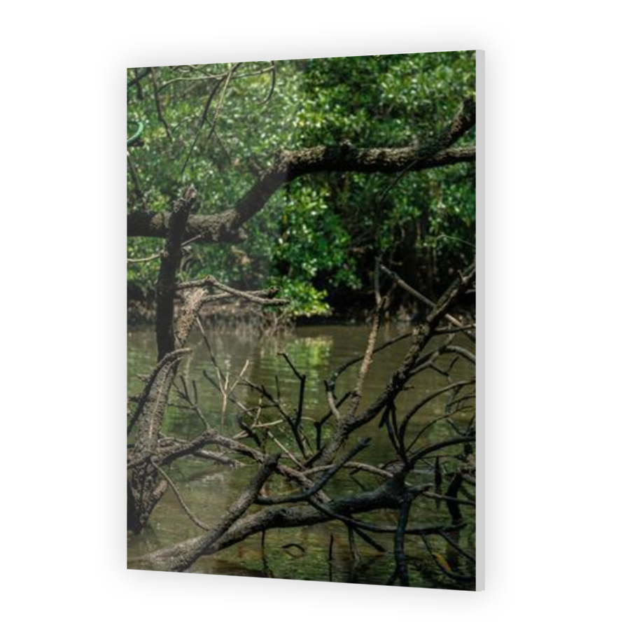 Thumbnail for Acrylic