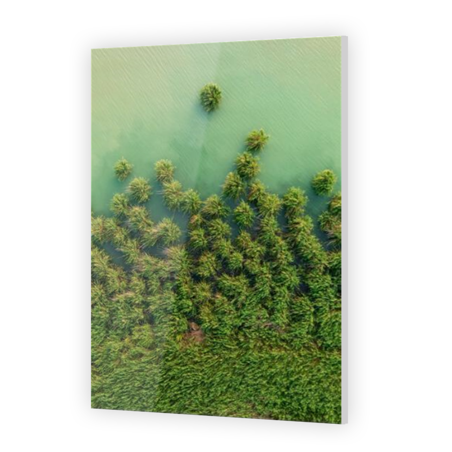 Thumbnail for Acrylic