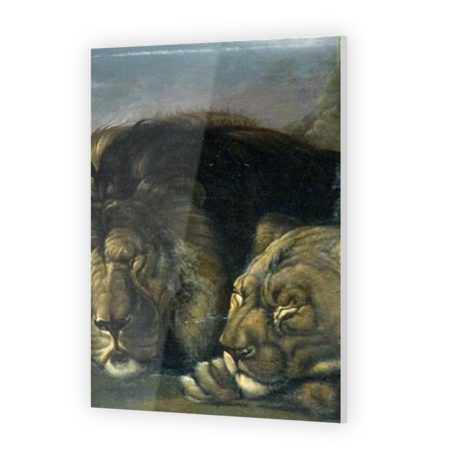 Thumbnail for Acrylic
