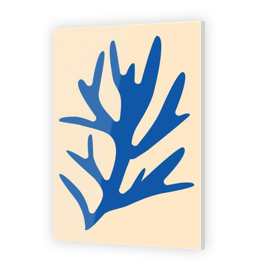 Thumbnail for Acrylic
