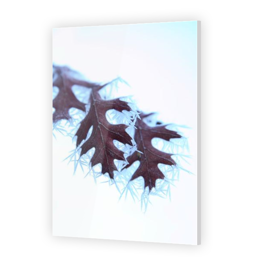Thumbnail for Acrylic