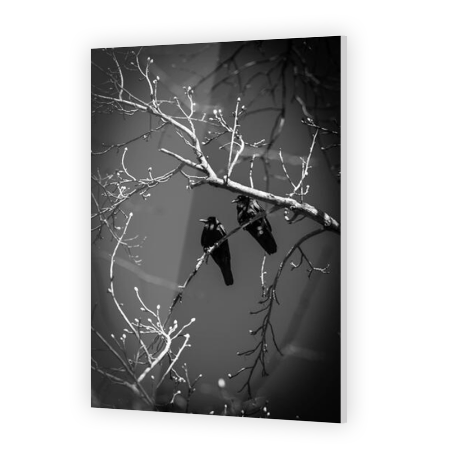 Thumbnail for Acrylic