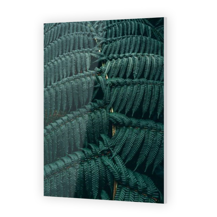 Thumbnail for Acrylic