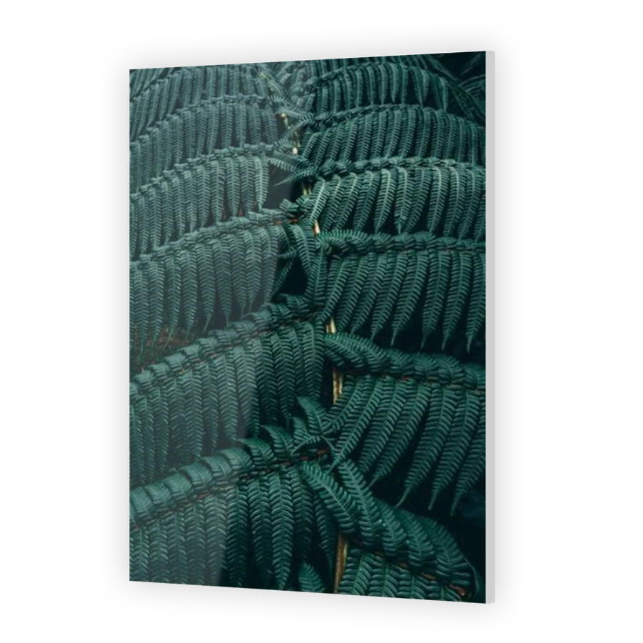Thumbnail for Acrylic