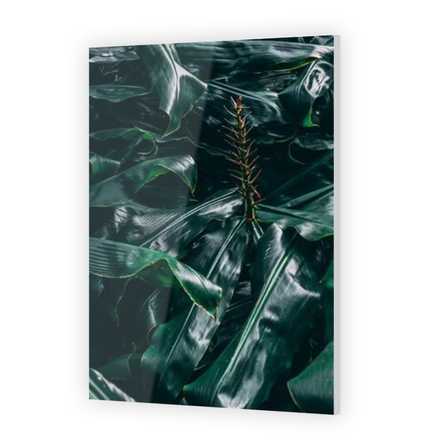Thumbnail for Acrylic