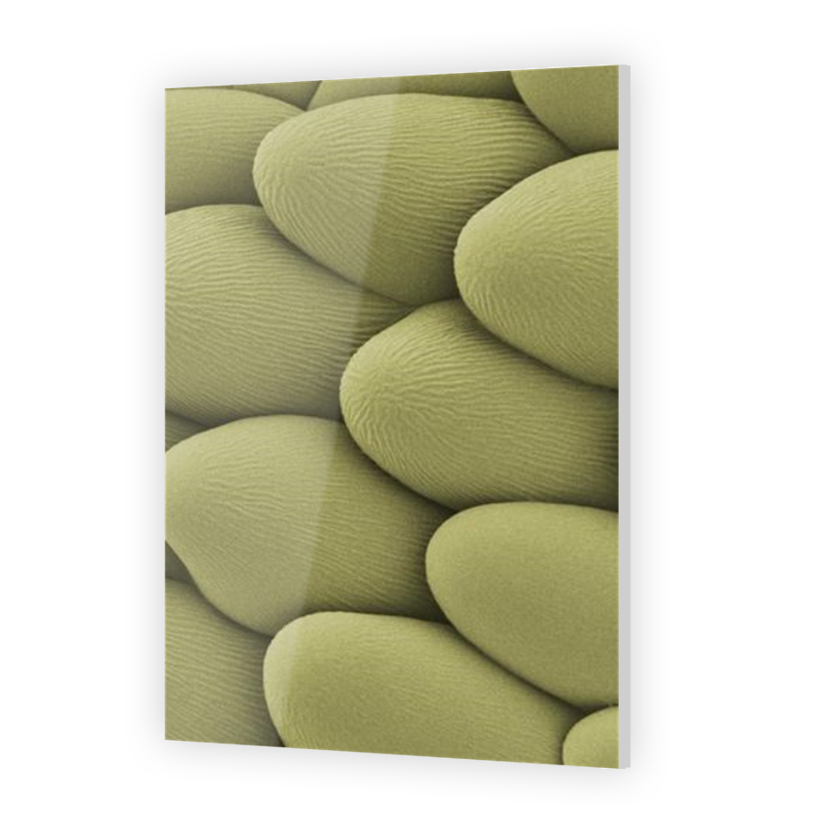 Thumbnail for Acrylic