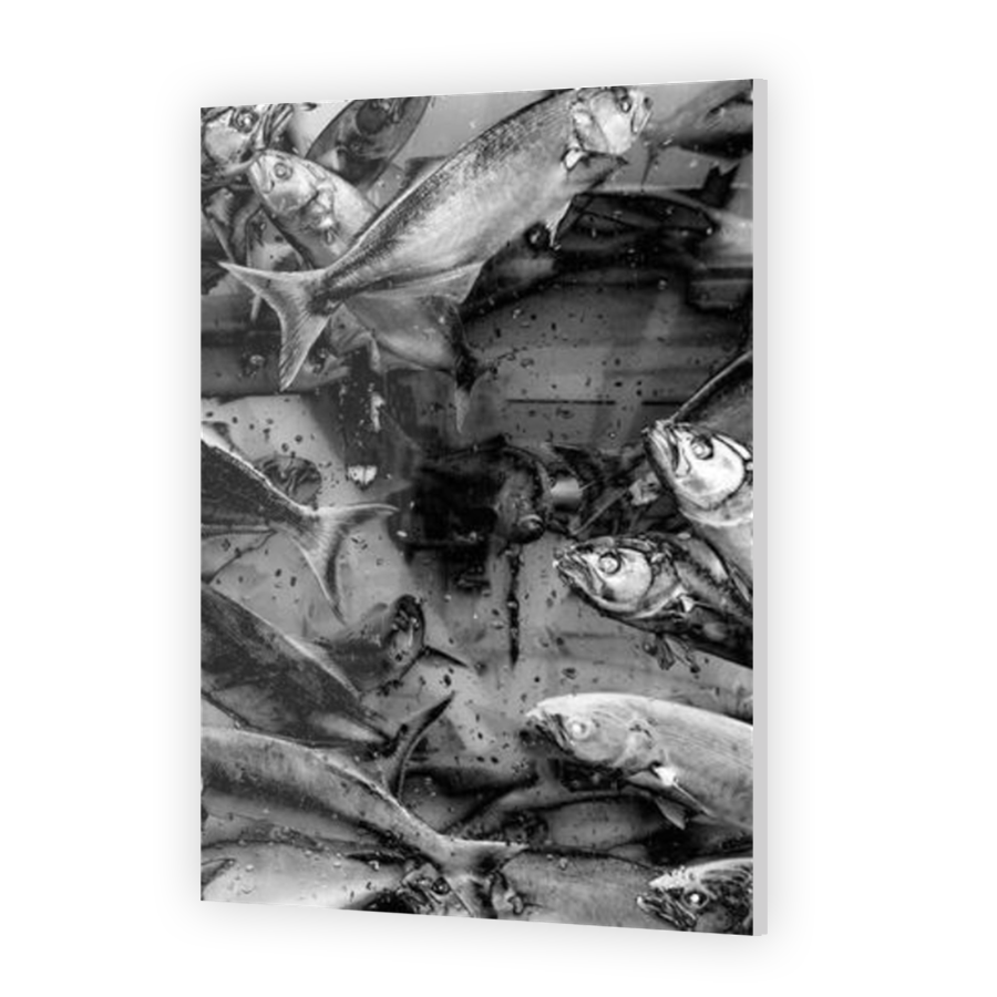 Thumbnail for Acrylic