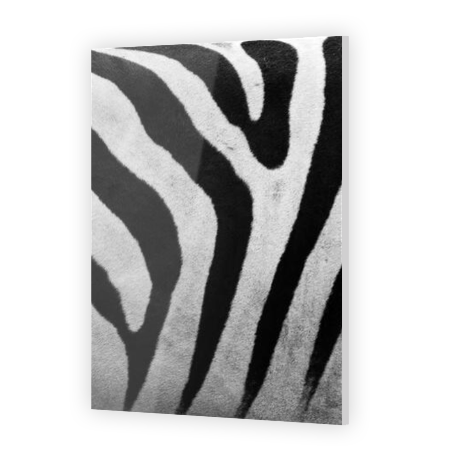 Thumbnail for Acrylic