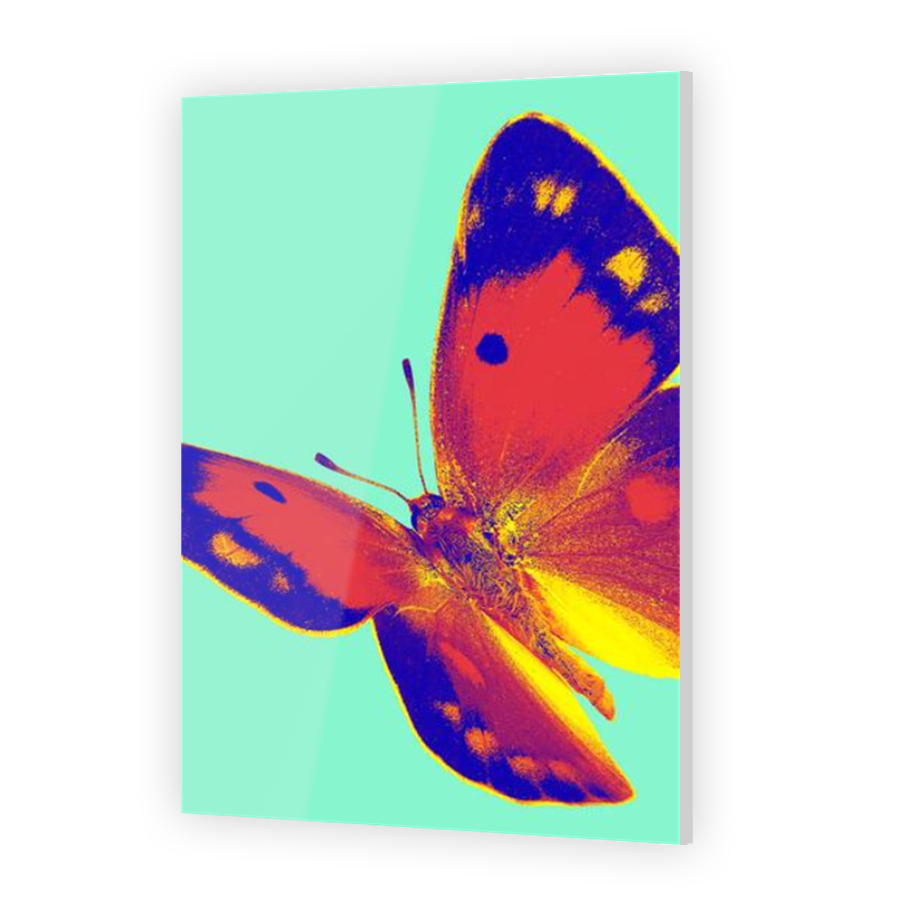Thumbnail for Acrylic