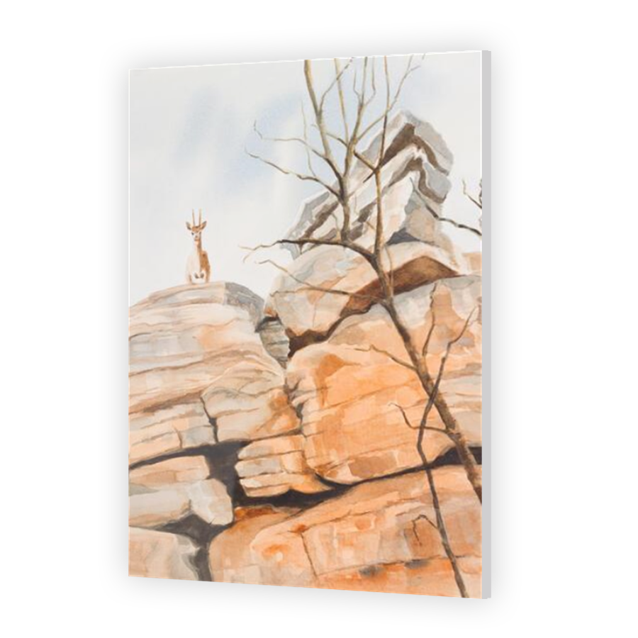 Thumbnail for Acrylic
